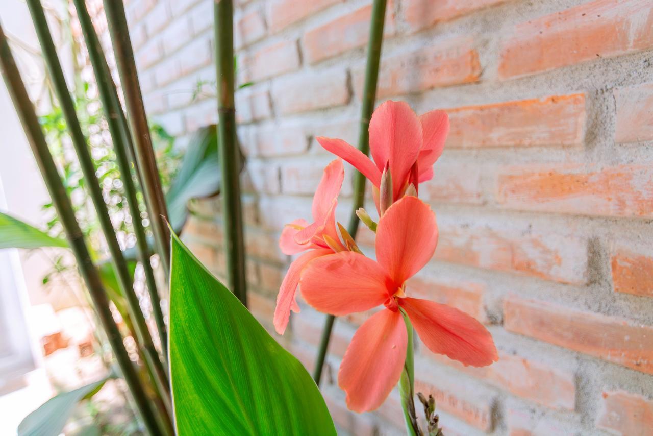 Seamist Ocean Villa Hội An Ngoại thất bức ảnh